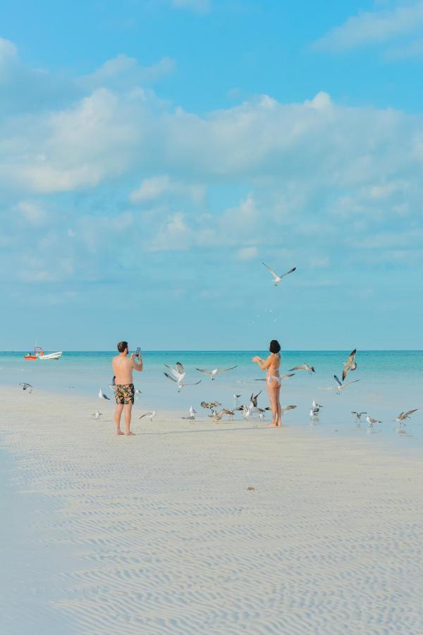 Villas El Encanto Holbox Екстер'єр фото